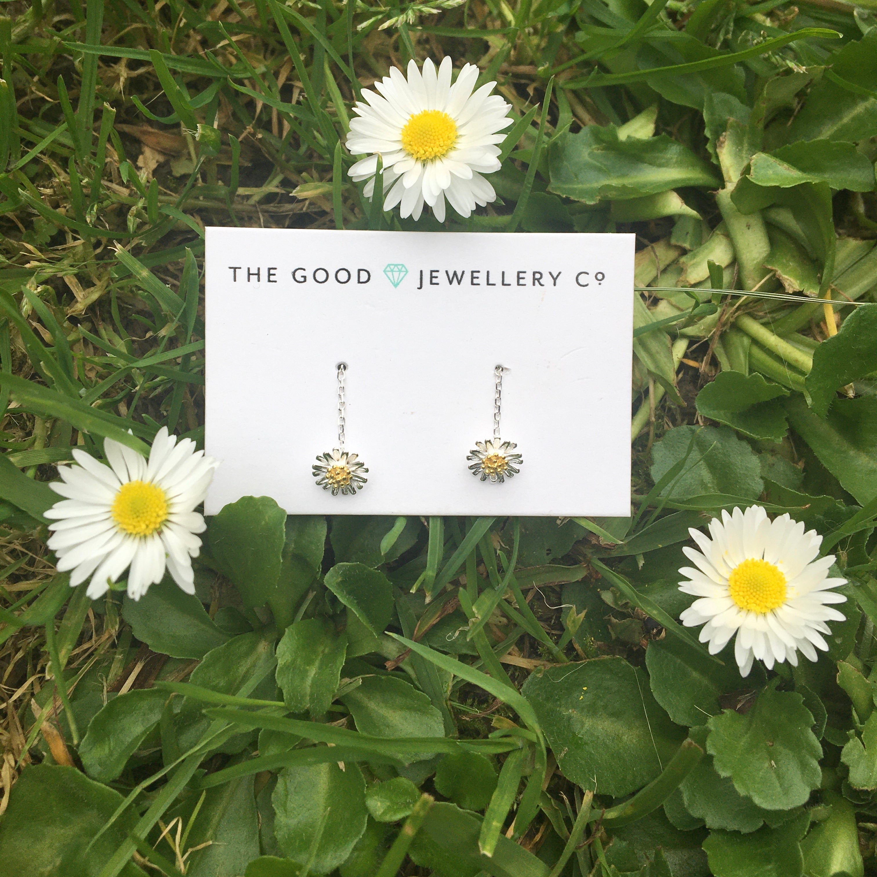 Daisy hot sale earrings nz